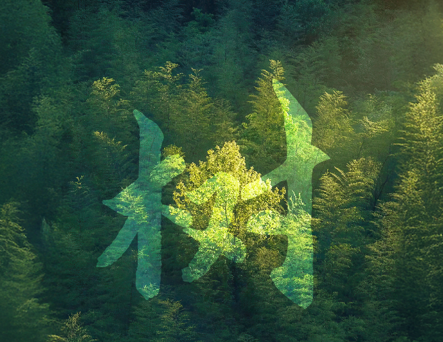 一树一世界丨 一院载春秋